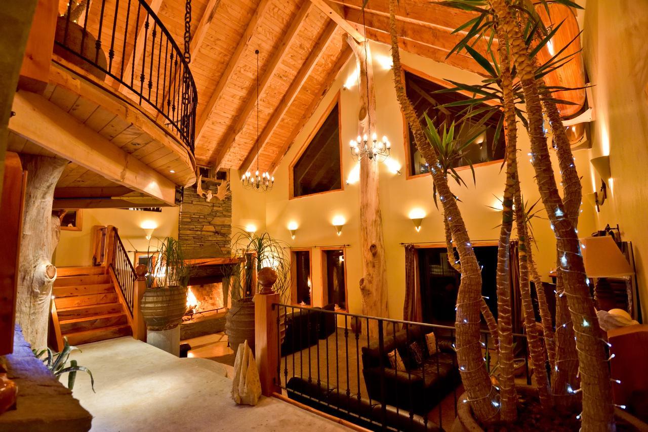 Tree House Lodge Bed & Breakfast Cheviot Ngoại thất bức ảnh