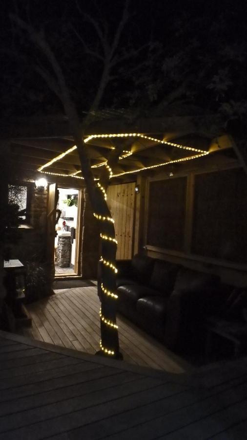 Tree House Lodge Bed & Breakfast Cheviot Ngoại thất bức ảnh